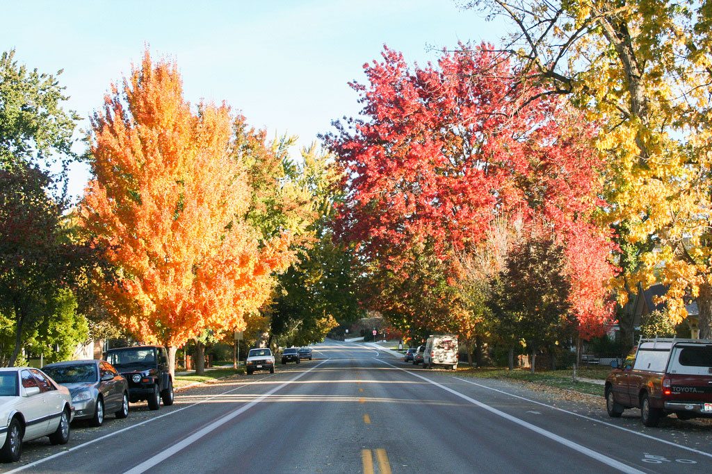 Boise's North End — tree-lined streets and historic Craftsman homes
